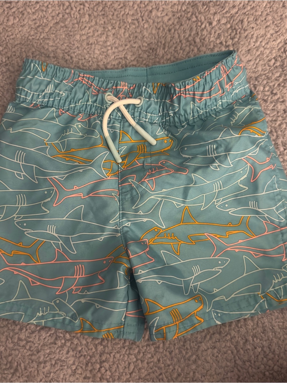 18M Cat & Jack Teal Swim Shorts with Pink & Yellow Shark